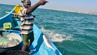 Catching Plenty of Trevally Fish in the Sea [upl. by O'Gowan458]