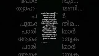 palnila punjiri song lyrics malayalam music song lyrics mappilappattu  Irfanachemban [upl. by Salakcin388]