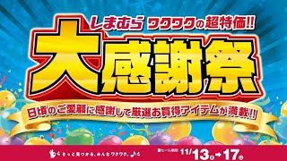 日頃のご愛顧に感謝して厳選お買得アイテムが満載！ しまむら大感謝祭開催！1117日まで！ [upl. by Embry]