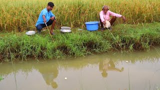 Fishing Video  If you know the technique you can catch fish in different method  Fish trap [upl. by Kondon]