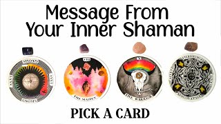 PICK A CARD 🤍🖤 Message From Your Inner Shaman 🪶 [upl. by Ahsila]