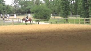 2014 Agatha Examen Galop 7 Dressage [upl. by Ahsa596]