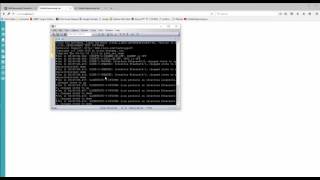 UNL HowTo  vRIN route injector setup [upl. by Kingston]