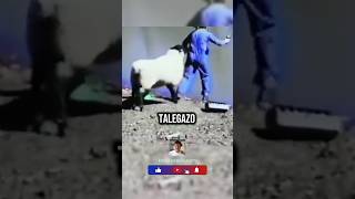 👱🎣🐑 Pescador vs oveja  esemajeengasado lacarpetadelosvrgzos [upl. by Antony]