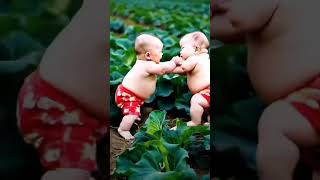 baby fight trending baby ai viralvideo youtubeshorts [upl. by Ahsirpac]