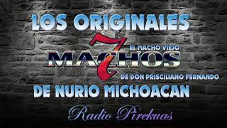 7 Machos de Nurio Michoacan 2018 [upl. by Ynove810]