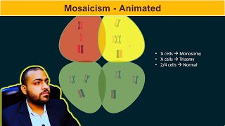 Mosaicism Basic Concepts [upl. by Lebiram]