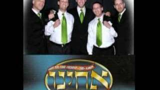 The Shapiro Brothers Chupah Songs [upl. by Vins]