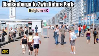 Ebike Ride Blankenberge Belgium to Zwin Nature Park Belgium  4K HDR [upl. by Rob]