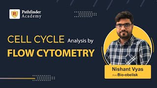 Cell Cycle analysis by Flow Cytometry [upl. by Dar829]