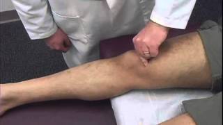 Patellar Inhibition Test [upl. by Naitsyrk]