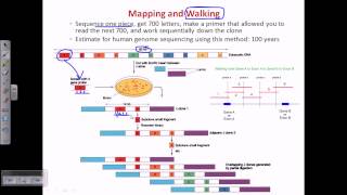 Genome sequencing [upl. by Sidonie654]