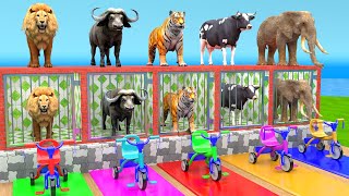 Cow Mammoth Elephant Lion Buffalo Guess The Right Key ESCAPE ROOM CHALLENGE Animals Cage Game [upl. by Oech141]