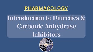 Introduction to Diuretics  Carbonic Anhydrase Inhibitors [upl. by Quin50]