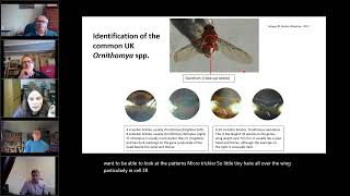 New Ked Louse amp Batfly recording scheme  Denise Wawman Dipterists Forum [upl. by Nahrut56]