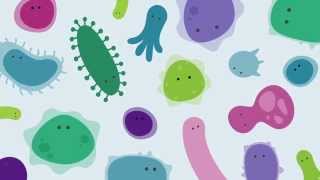 Introducing The Human Gut Microbiome [upl. by Notsud]