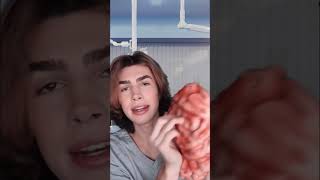 Giving you a brain massage during your lobotomy🧠 asmr whispering asmrvideos asmrroleplay [upl. by Ecallaw]