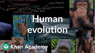 Human evolution overview  Life on earth and in the universe  Cosmology amp Astronomy  Khan Academy [upl. by Jannel745]