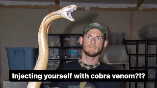 Injecting yourself with cobra venom [upl. by Lesly]