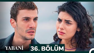 Yabani 36 Bölüm SEZON FİNALİ [upl. by Lampert]