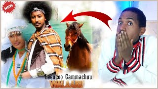 Lencho GemechuWalaabuNew Oromo video reaction 2023 [upl. by Anirbas790]