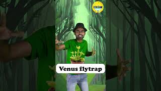 Whats Inside A Venus Flytrap 🪴 இப்டியும் ஒரு வித்தியாசமான செடி  kids👶 science 🔬 [upl. by West]