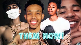 MINDLESS BEHAVIOR What Really HappendWhere Are They Now [upl. by Acirtal]