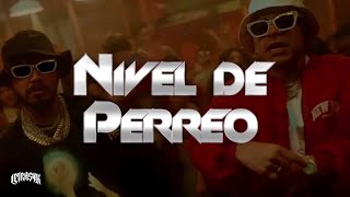 J Balvin Ryan Castro  Nivel de Perreo Letra [upl. by Nylloh]