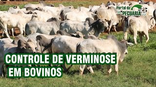 Controle de verminose em bovinos [upl. by Trebbor]