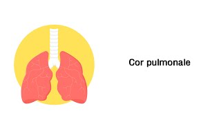 Lungenherz Cor pulmonale  Erkrankungen der Atemwege [upl. by Knowle361]