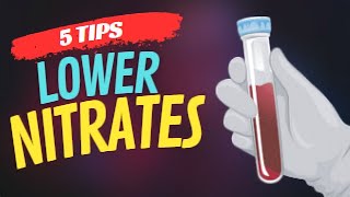 HOW TO Reduce Nitrates in a Reef Tank Without Water Changes [upl. by Mirth]