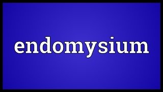 Endomysium Meaning [upl. by Nivrac878]