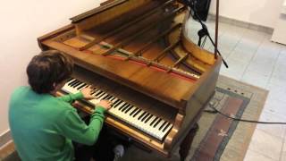 Erard grand piano 215 LuxPianoPL [upl. by Balbur]