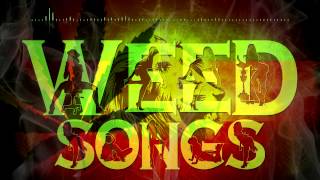 Weed Songs Collie Buddz  Sensimillia [upl. by Analahs338]