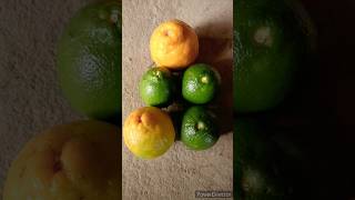 Mosambi recipe  How to make orange recipe 🍊🧡shorts youtubeshorts orangemosambimita Minikitchen [upl. by Dorrahs989]