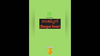 ബ്രേക്ക്‌ ബോൺ ഫീവർ 🩸🩸🦠🩸🩸🦠🩸🩸🦠🩸🩸shorts psc pscgk [upl. by Aneeh]