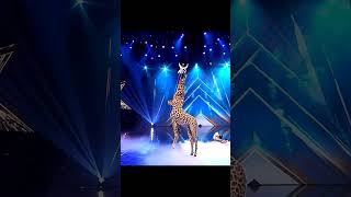 Man transfer into a girafe 😱 magic trend🥱 [upl. by Morena409]