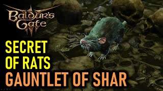 Secret of the Rats in Gauntlet of Shar  Baldurs Gate 3 BG3 [upl. by Ylebmik]