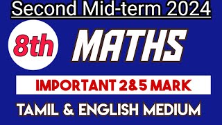 8th std Maths Second Mid term test Important Question 2amp5 Mark 2024 [upl. by Enyr487]