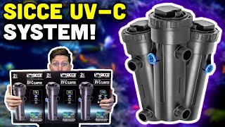 Sicce UVC Clarifiers Your Next Option for UV Treatment [upl. by Steep]