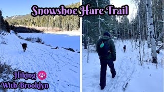 Snowshoe Hare Trail  Golden Gate Canyon State Park [upl. by Arella]