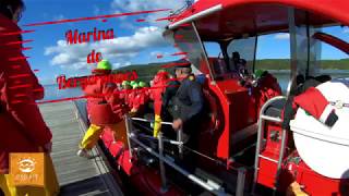 Croisière aux baleine aux Grandes Bergeronnes Tadoussac [upl. by Sanjiv728]