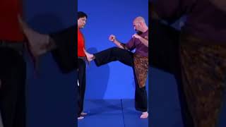 KNIFE ATTACK PENTJAK SILAT [upl. by Delaney]