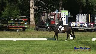 278D Cindy Hahn on Tristan Open Beginner Novice Dressage Aspen Farms Sept 2024 [upl. by Griffin]