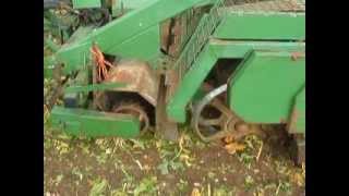 Beet Harvesting 20111 [upl. by Naxor]