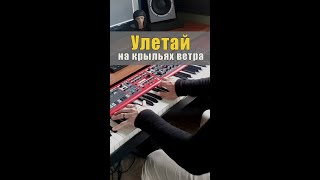 Улетай на Крыльях Ветра на пианино в обработке А Дзарковски Shorts [upl. by Andriette507]