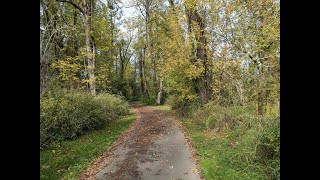 Fanno Creek Trail in Beaverton Oregon October 22 2024 [upl. by Nehtiek]