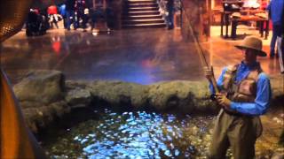 A Visit to the Bass Pro Shop Ashland VA [upl. by Mazman]