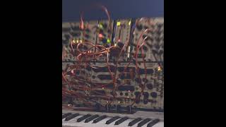 Eurorack Harvestman amp Friends electronicmusic eurorack harvesman industrialmusicelectronics [upl. by Dunc109]