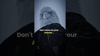 Sigma Rule 🔥 dont show me your attitude 😎 motivation shorts motivationalquotes [upl. by Bram]